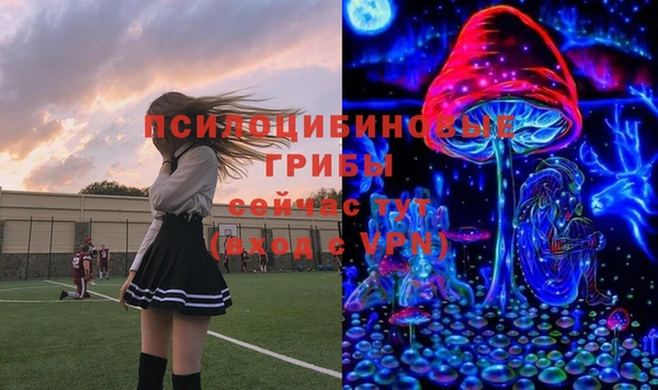 mix Пересвет