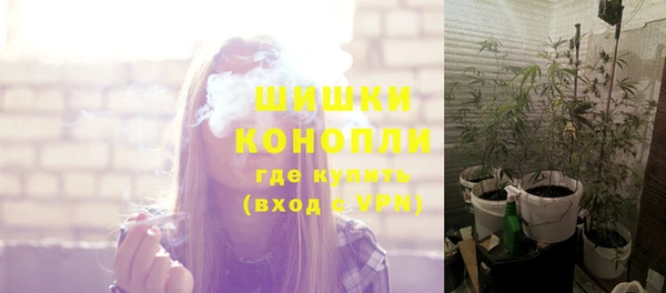 mix Пересвет