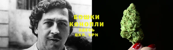 гашик Переславль-Залесский