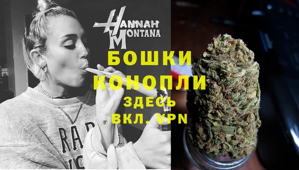 mix Пересвет